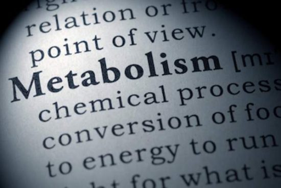 metabolism